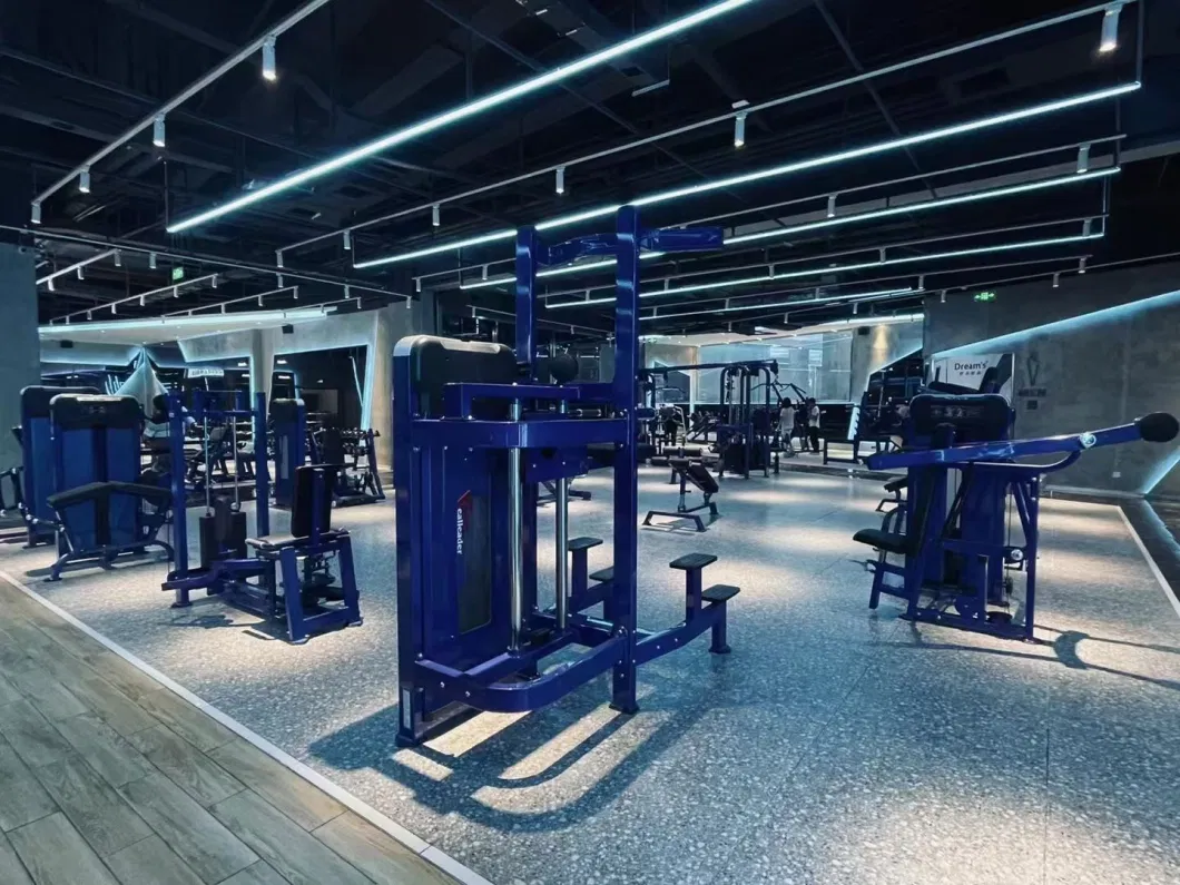 Belt Squat Strength Machine Commercial Gym Equipment Fitness Body Building