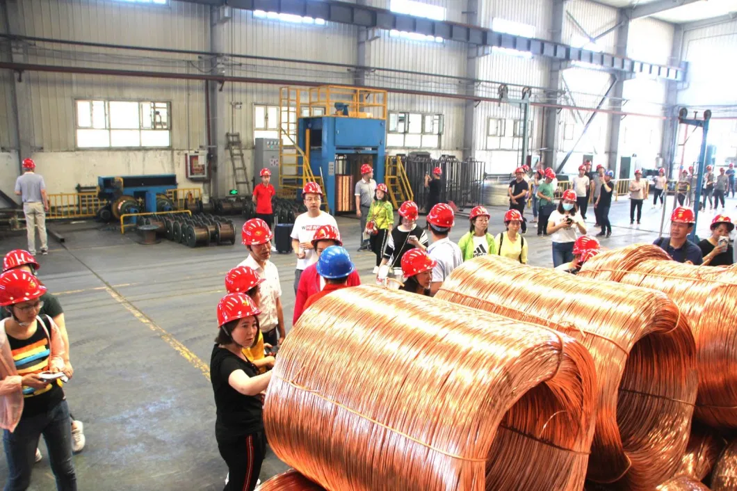 Copper Sheets for Sale Copper Coils Grade C11000 C12200 Thickness 0 15mm 8 0mm Tia Surface Plate Balance Pure Hong Package DIN