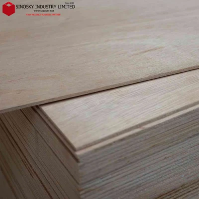 2022 New Plywood, Ply Sheet, Ply Plywood, Hardwood Ply, Birch Ply
