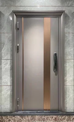Modern Exterior Main Gate Door Designs Front Iron Entry Doors Entrance Security Steel Door for House
