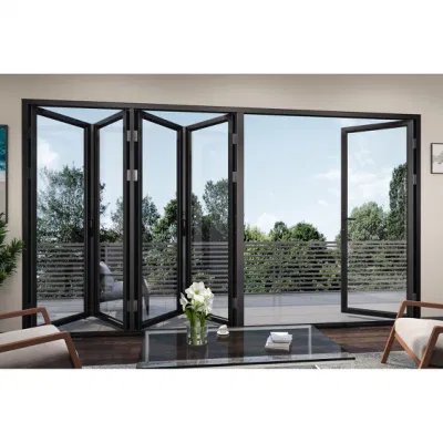 Customized Thermal Break Double Glass Folding Door Philippines