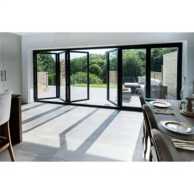 Customized Thermal Break Double Glass Folding Door Philippines