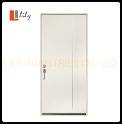 Front Entry Metal Door with Primed White modern Craftsman Design