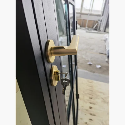 Internal French Style Steel Casement Arched Interior Doors with Glass