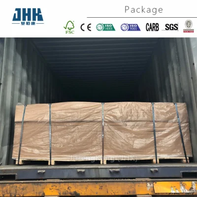 Jhk MDF Board Moulded Plywood White Primer Molded Door Skin