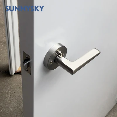 Builder Choice Exterior Solid Wood Singapore Fungus on Wooden Door