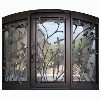 Rectangular Craftsman Design Single Door, China Rectangular Top Wrought Iron Door French Style
