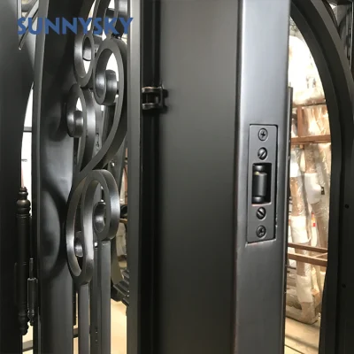 Villa Project Vintage Design Ice Pattern Glass Wrought Iron Door with Customized Sidelights