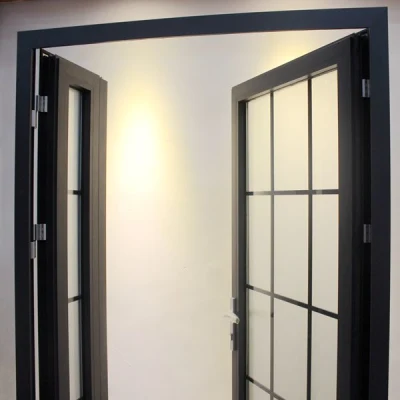 Aluminum Double Entry Door Flush Door with Sidelights and Transom