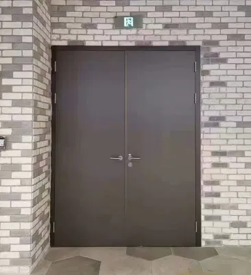 Interior Emergency Exit Fire Iron Front Main Entrance Resistant Fireproof Fire Resistance Metal Door with Glass Window