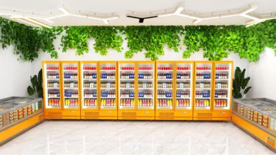 Modern Store Design, One-Stop Service