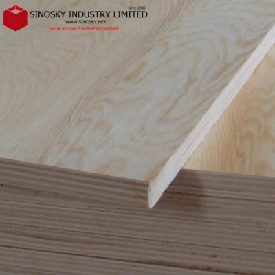 2022 New Plywood, Ply Sheet, Ply Plywood, Hardwood Ply, Birch Ply