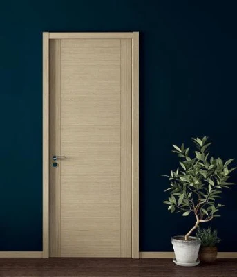 Modern Style Pivot Entry Door Exterior Front Pivot Wood Door