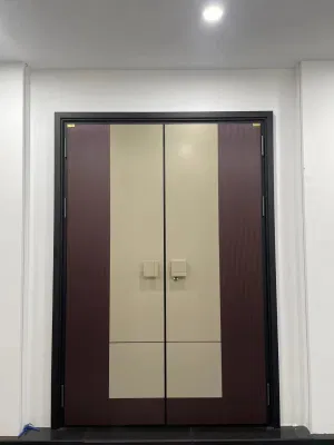Modern Exterior Main Gate Door Designs Front Iron Entry Doors Entrance Security Steel Door for House