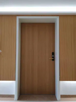 Exterior Residential Hotel Apartment Fireproof Sound Proof House Main Entrance Fire Resistance Teak Wood Melamine Wood Fire-Rated Wooden Log Solid Timber Doors