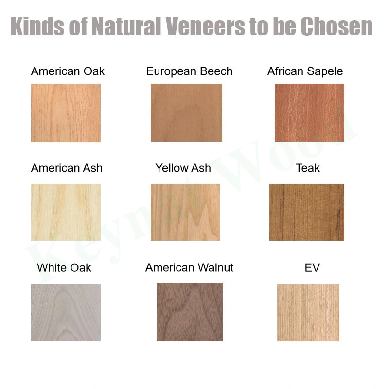 Oak Faced Plywood /MDF American Market Natural Red Oak / White Fancy Plywood E1 Artificial Veneer Poplar Hardwood Combi Dongstar