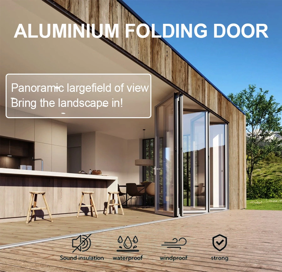 Modern Indoor Aluminium French Casement Swing Glass Door Interior Metal Framed French Door