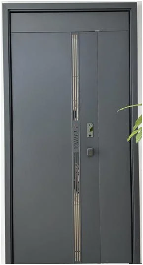 Steel Security Front Doors for Home Front Metal Door with Hardwares