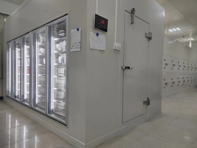 PU Sandwich Panel Glass Door Walk in Cooler Freezer Cold Storage Room Display Cold Room for Supermarket