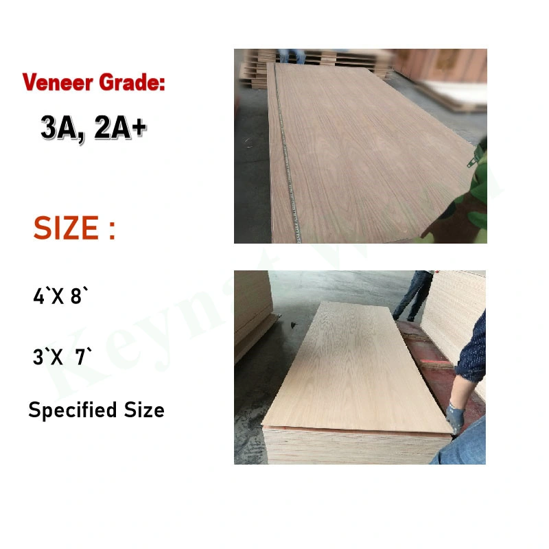 Oak Faced Plywood /MDF American Market Natural Red Oak / White Fancy Plywood E1 Artificial Veneer Poplar Hardwood Combi Dongstar