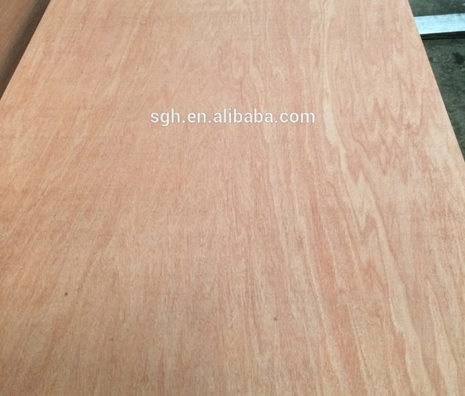 1220X2440mm Plywood Board E1 Glue Poplar Core and Hardwood Core 2 Times Hot Pressed for Furniture
