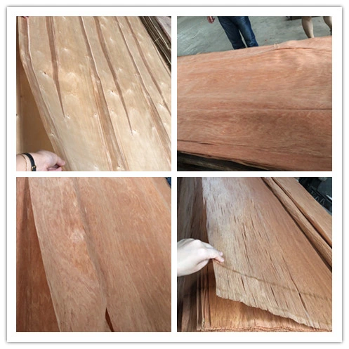 Okoume, Bintangor, Pencil Cedar, Keruing, Poplar, Birch, Pine, Maple, Hardwood Plywood Door Skin Panels