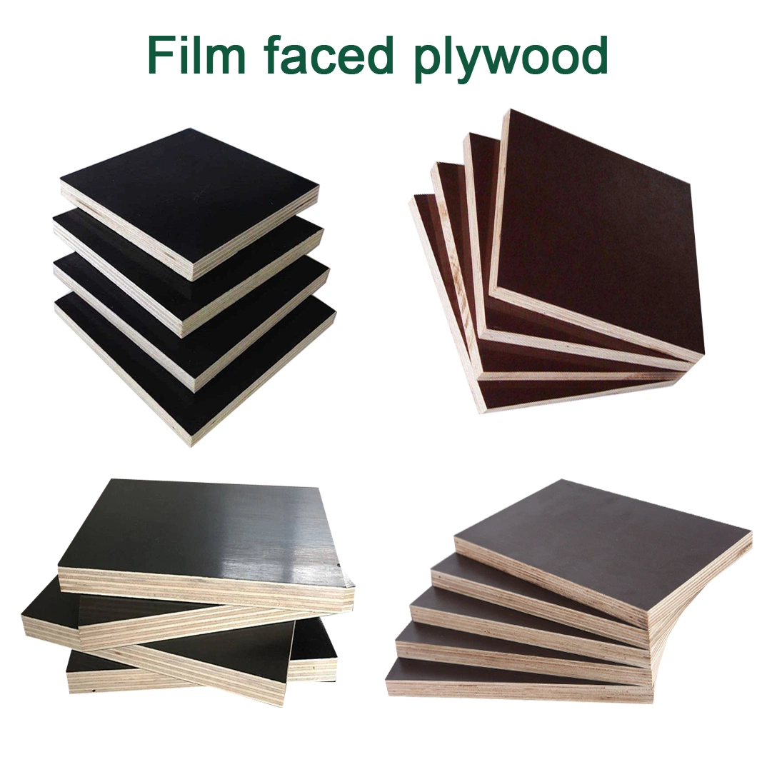 Black film Brown film Red film Film Faced Plywood Marine Plywood Poplar Hardwood Hardwood Combi Finger Joint Core