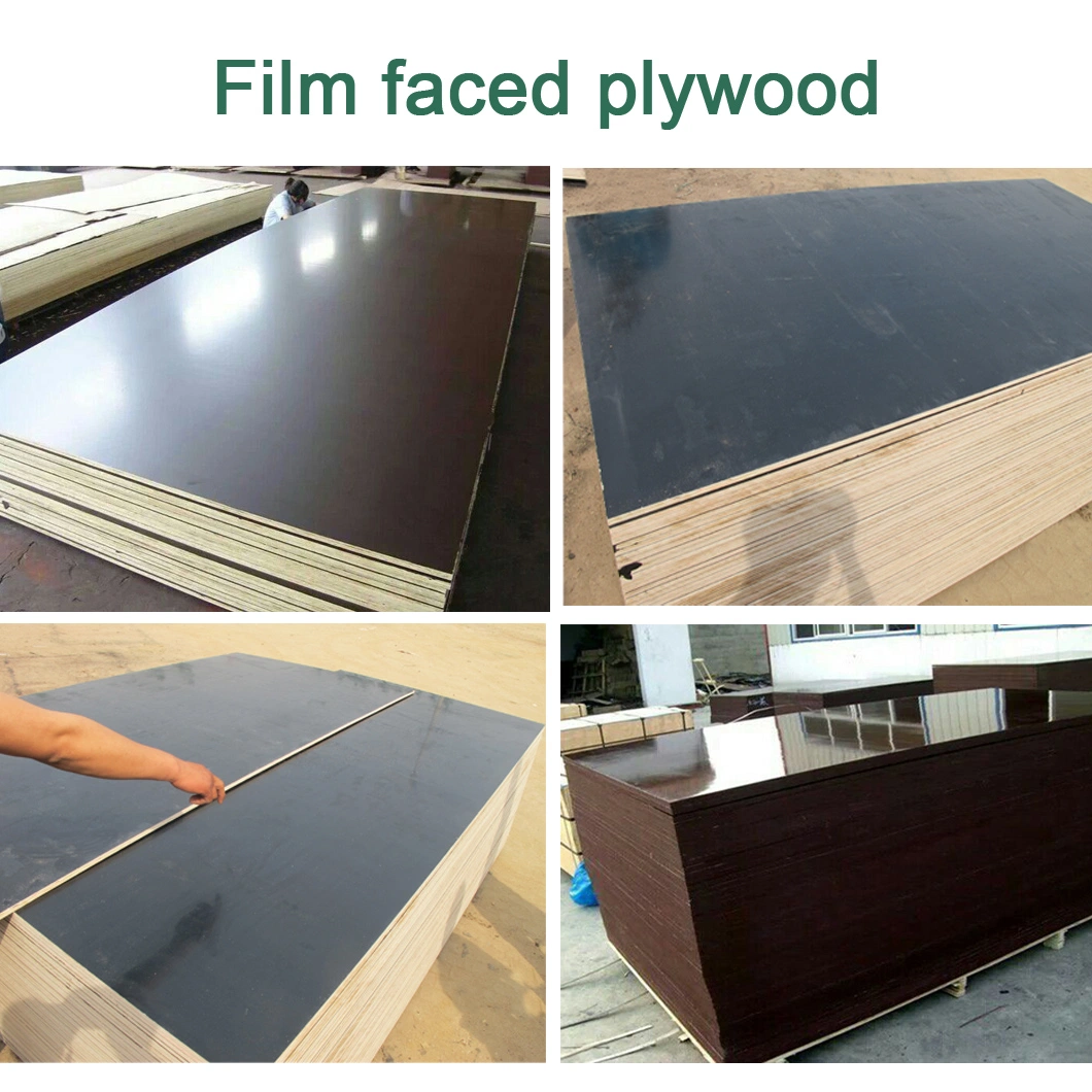 Black film Brown film Red film Film Faced Plywood Marine Plywood Poplar Hardwood Hardwood Combi Finger Joint Core