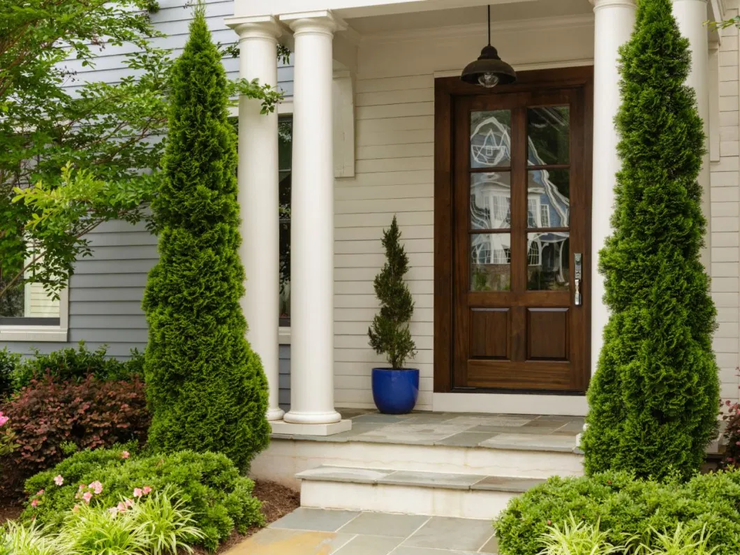 Solid Teak Wood Door Front Entry Single or Double Door for Villa