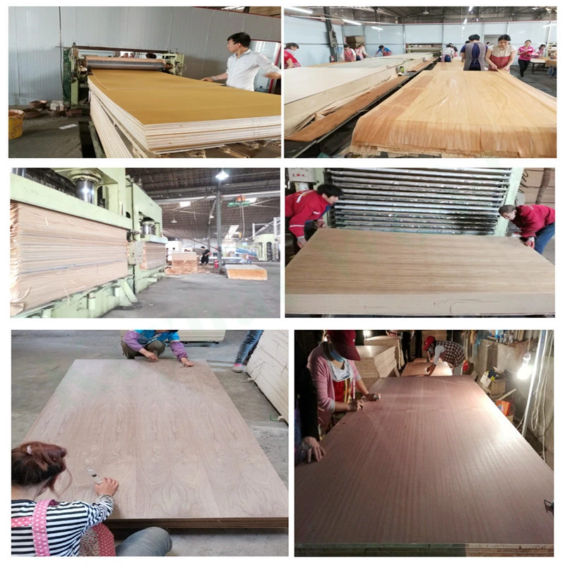 Oak Faced Plywood /MDF American Market Natural Red Oak / White Fancy Plywood E1 Artificial Veneer Poplar Hardwood Combi Dongstar