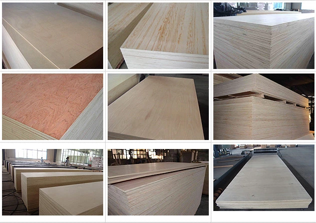 2022 New Plywood, Ply Sheet, Ply Plywood, Hardwood Ply, Birch Ply