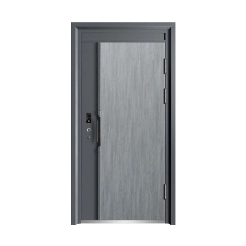 Well Designed Security Front Door Security Metal Doors Doors and Windows Exterior Security Armored Doors