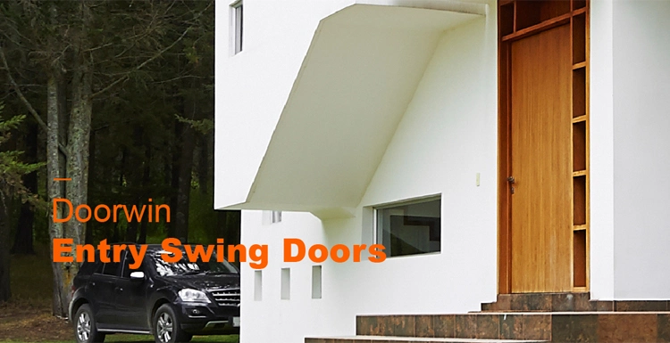 Doorwin Modern Design Exterior Wooden Main Pivot Entrance Front Doors for Houses Solid Wood Entry Door