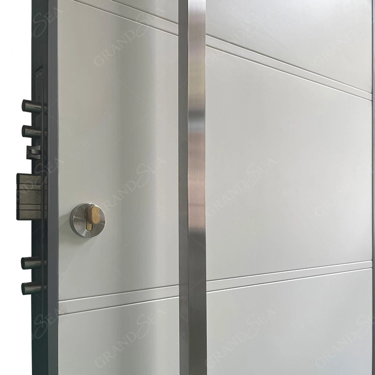 Us Villa Main Entry Door Modern Design Stainless Steel Pivot Wood Doors with Glass Sidelights