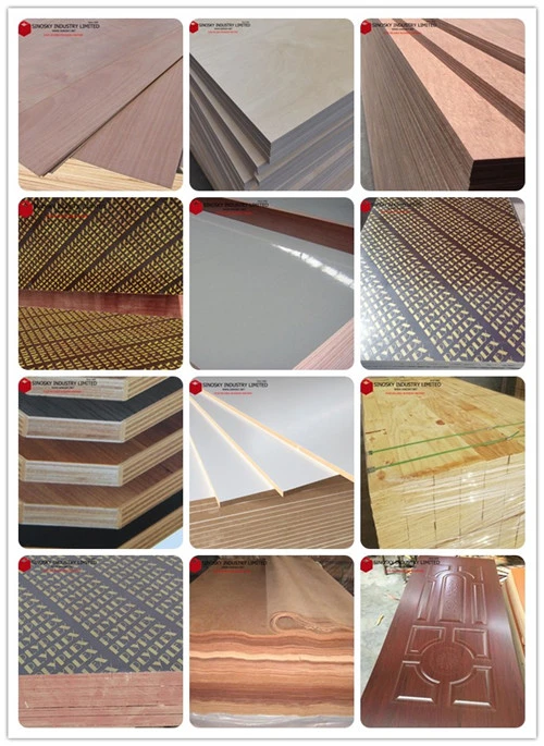2022 New Plywood, Ply Sheet, Ply Plywood, Hardwood Ply, Birch Ply
