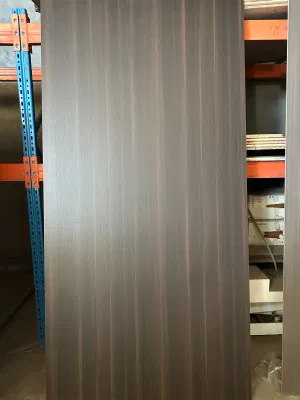 Madera hueca núcleo de madera Pintura libre Tamaño personalizado Melamina Puertas