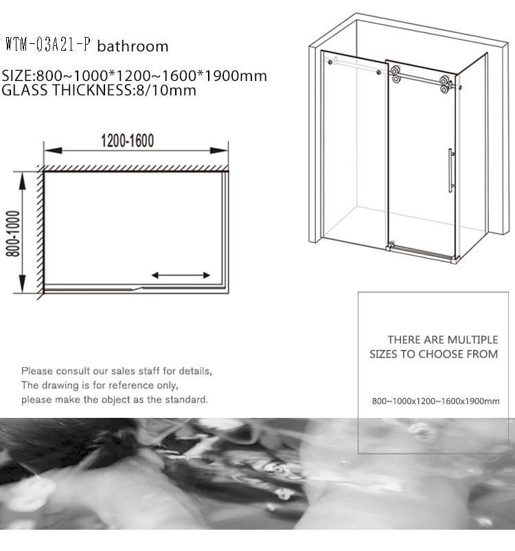 with Side Panel Return Panel Double Glass Sliding Shower Door