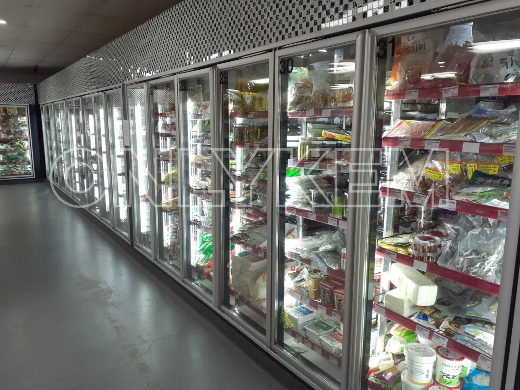 Supermarket Glass Door for Display Walk in Cooler/Freezer/Display Cold Room