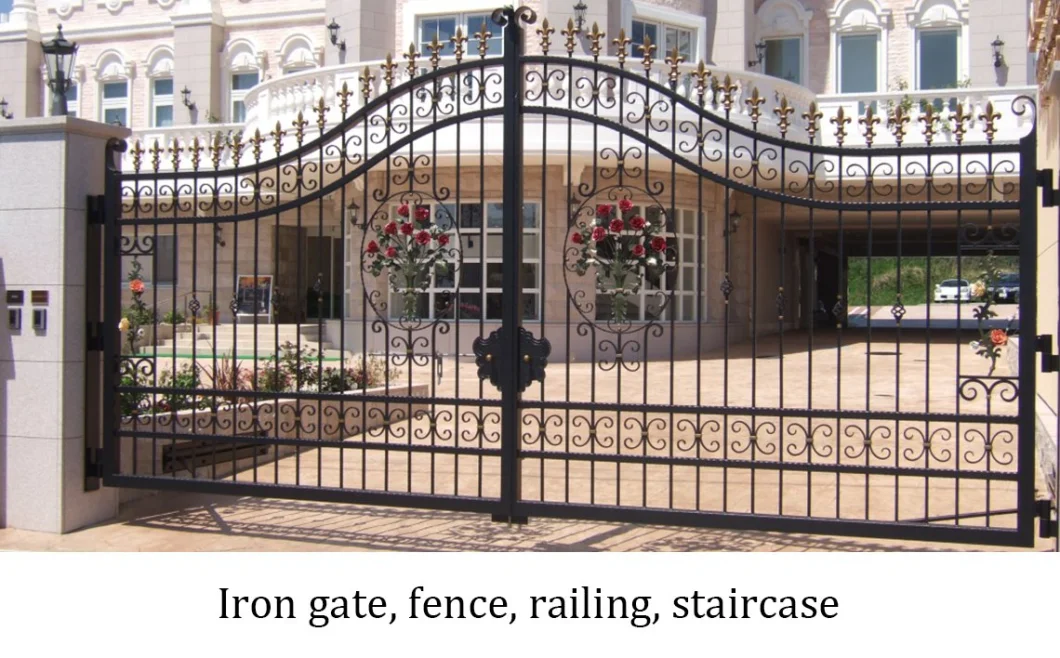 New French Design Main Entrance Wrought Iron Steel Double Doors