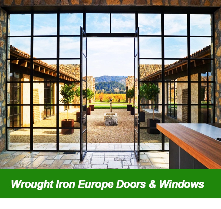 Cheap Main Entrance Iron Door Modern Design French Style Steel Doors Wine Cellar Door Steel Window with Side Lights