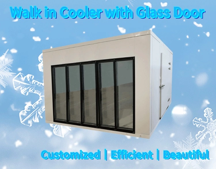 Supermarket Commercial Freezer Glass Door Grocery Store Cooler Glass Door