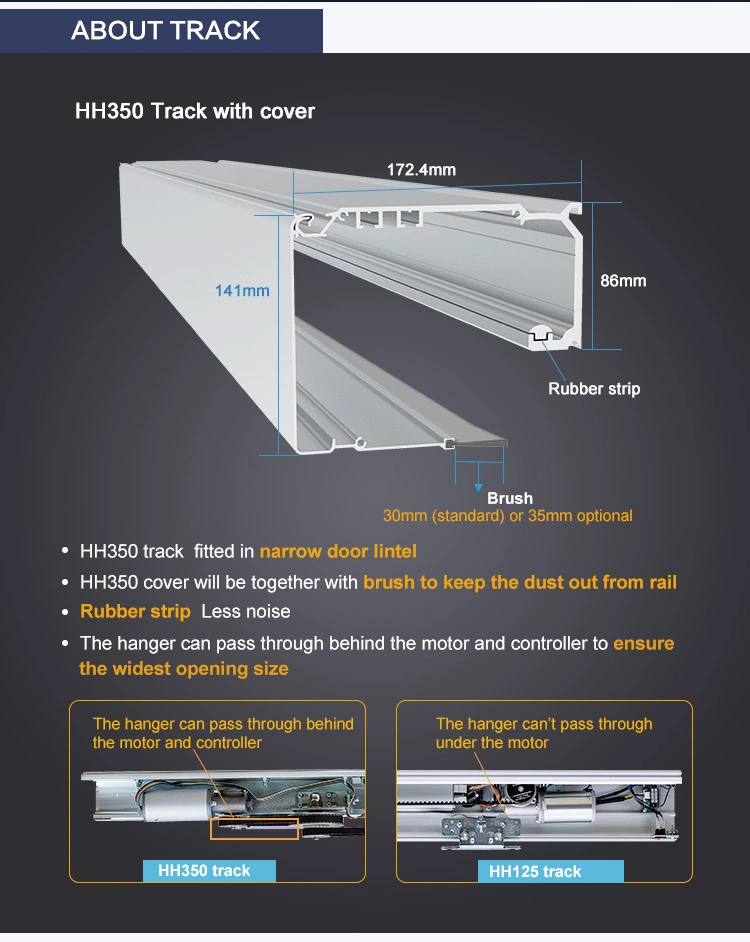 Large Panel Automatic Door Solution for Entrance