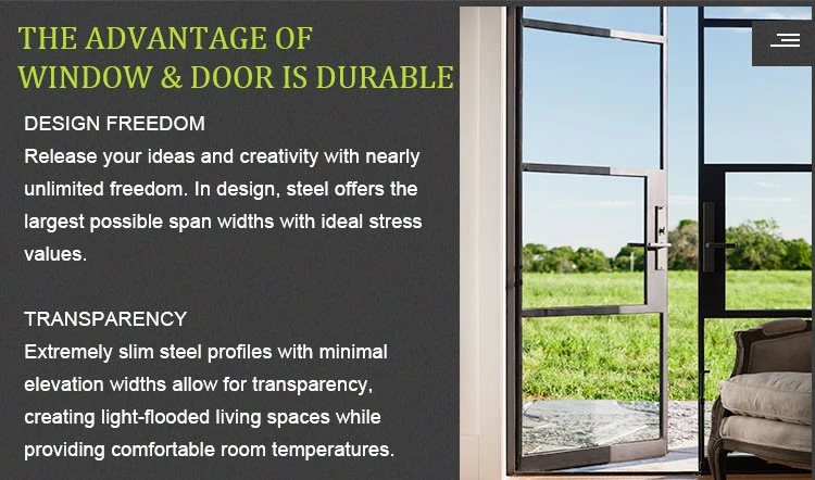 Modern Classic French Door Entrance Door Double Swing Door Steel Framed Doors and Windows