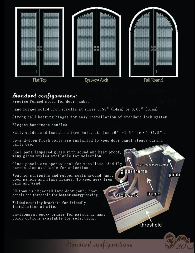 Craftsman Style Wrought Iron Door with Lowe Safety Glass