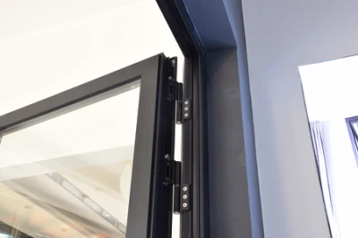 Sixinalu porta in acciaio di sicurezza moderna facciata esterna con profilo in alluminio, ingresso frontale Sportello a cassapiano in lega di alluminio impermeabile con design a cancello