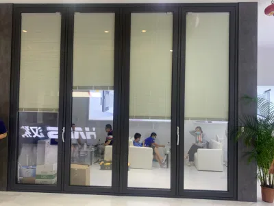Esterno con patio pieghevole in vetro di alluminio con doppia porta a due ante a due ante|interno Sportelli a due pieghe|sportelli a due pieghe esterni|Installazione di sportelli a due pieghe
