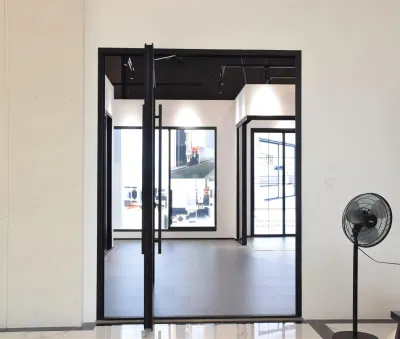 Sixinalu Profilo in alluminio materiale da costruzione Villa di lusso personalizzata esterno Sportello anteriore vetro ingresso ferro metallo sicurezza acciaio perno sportello