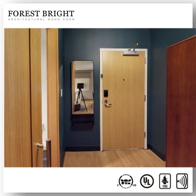 Porta ignifuga personalizzata da 20 45 60 90 min, omologazione UL Sicurezza commerciale Hotel incendio nominale porta di legno per gli ospiti interni Camera