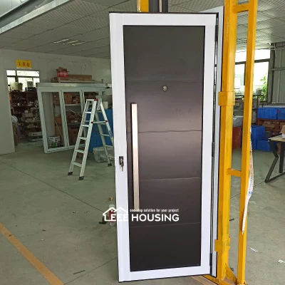  China Factory Direct Supply porta esterna moderna progettata su misura per Ingresso anteriore