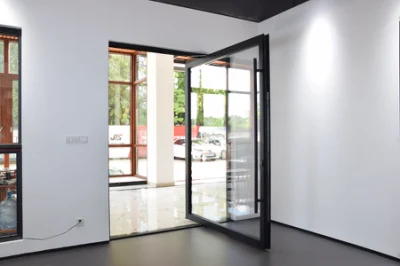  Ingresso esterno in alluminio Sixinalu e ingresso esterno composito anteriore Porte e porte posteriori